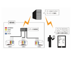 クリックして拡大
